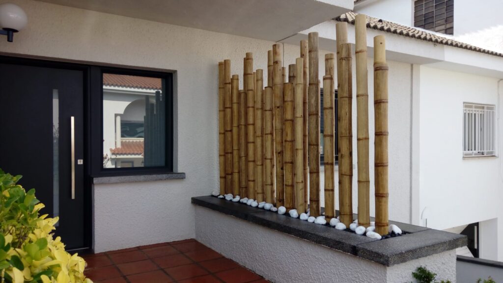 Biombo decorativo de cañas de bambú en jardinera para separar la entrada de una casa moderna