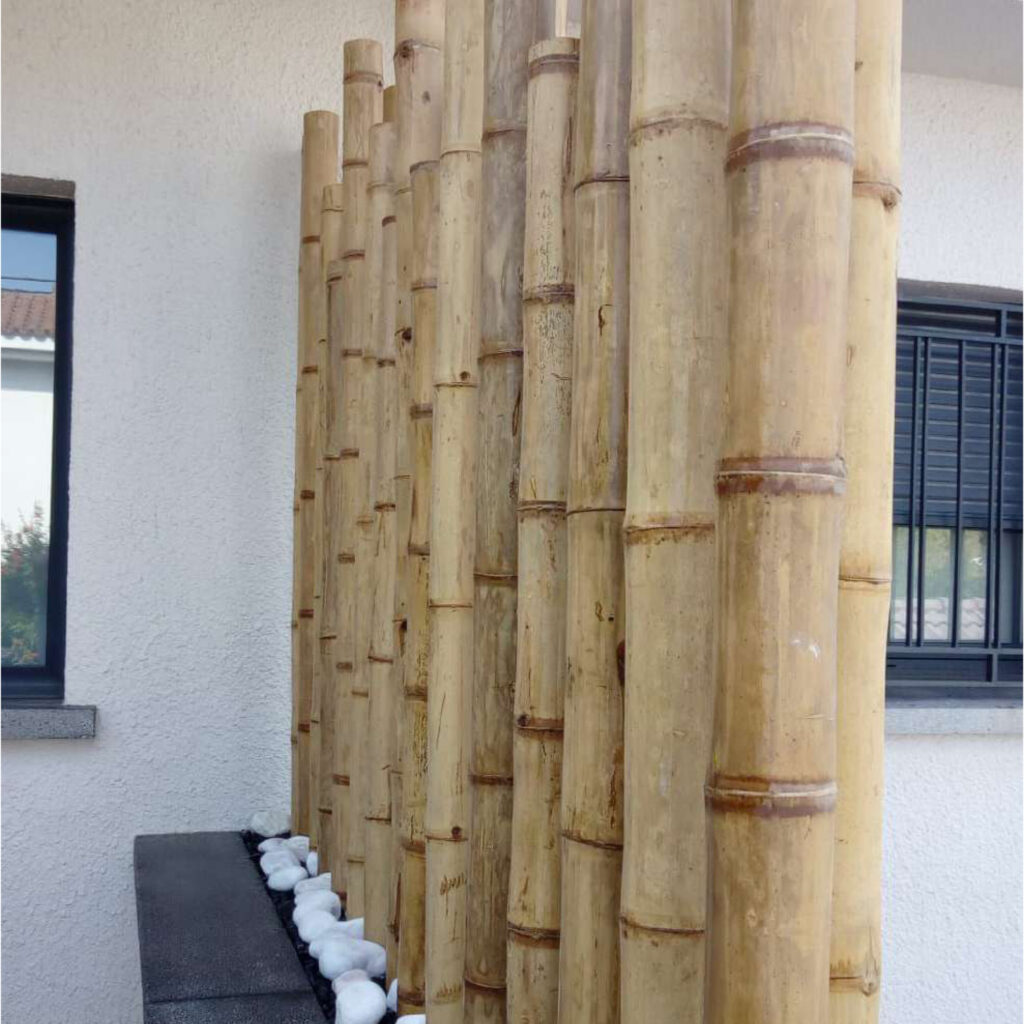Biombo decorativo de cañas de bambú en jardinera para separar la entrada de una casa moderna