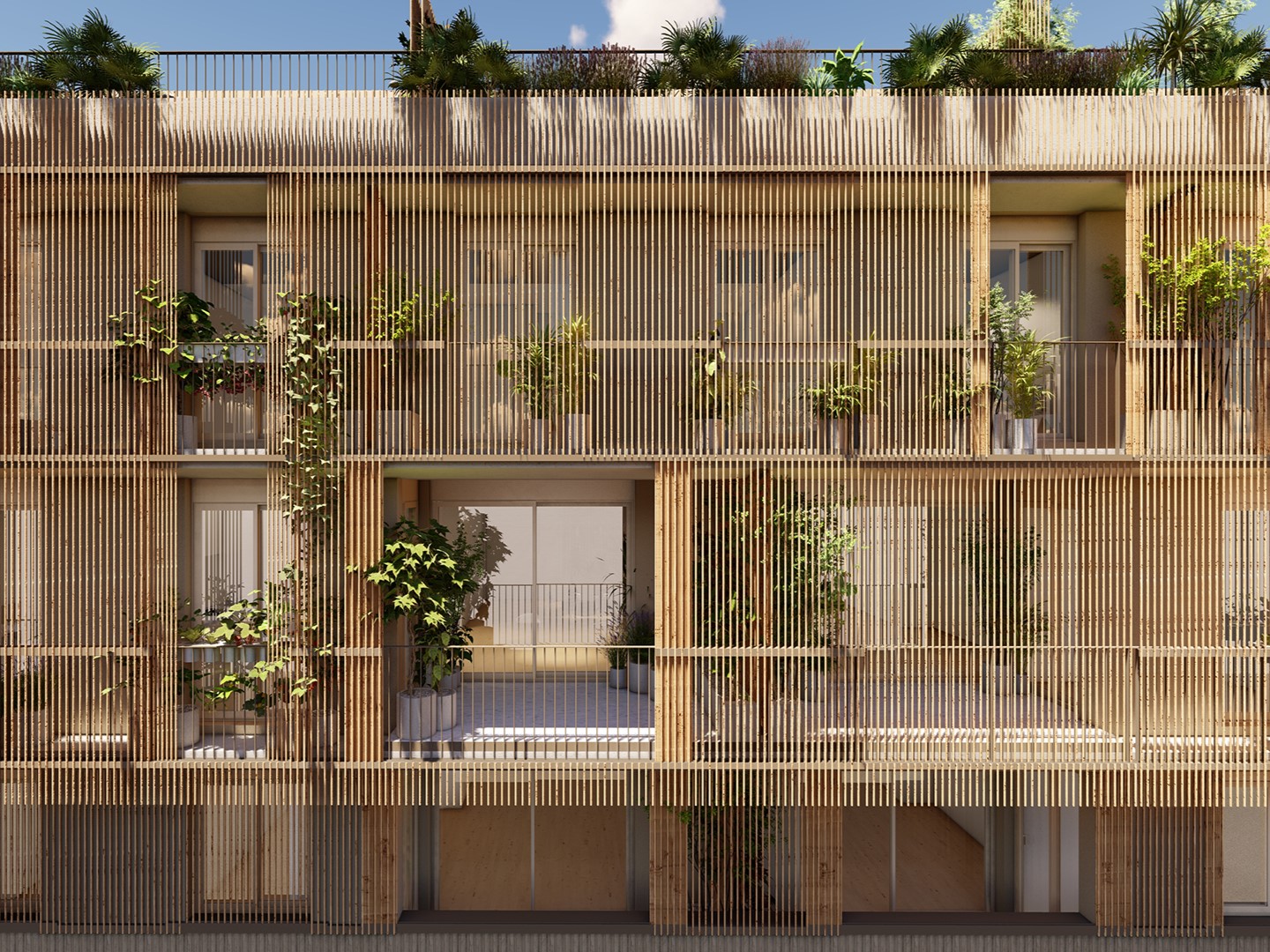 EL BAMBÚ CONQUISTA EUROPA